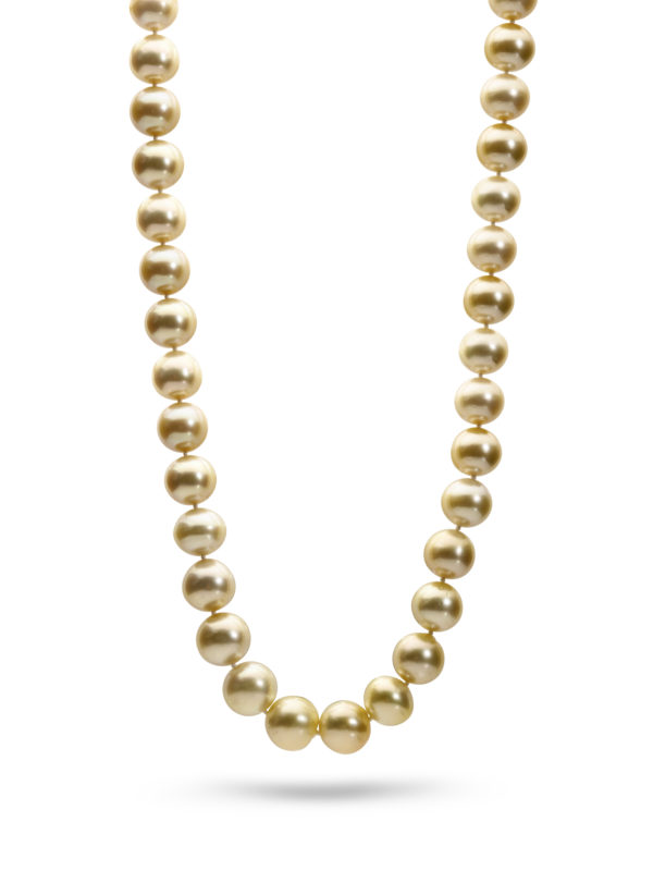 Golden South Sea Pearls